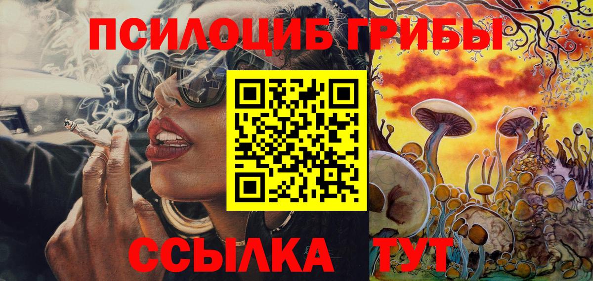 Псилоцибиновые грибы Psilocybine cubensis Дзержинский