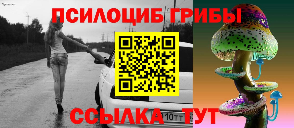 Галлюциногенные грибы GOLDEN TEACHER  Галлюциногенные грибы GOLDEN TEACHER  Дзержинский  Вход с VPN 